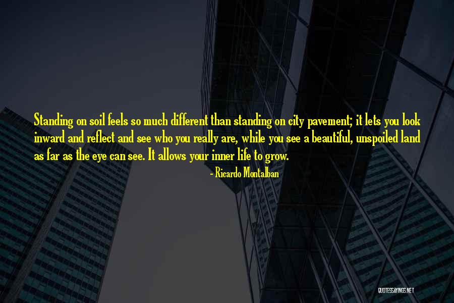 Evermine My Own Labels Quotes By Ricardo Montalban Evermine My Own Labels Quotes By Ricardo Montalban