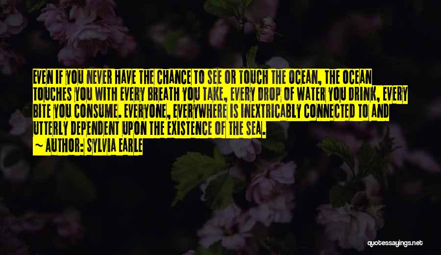 Every Breath You Take Quotes By Sylvia Earle