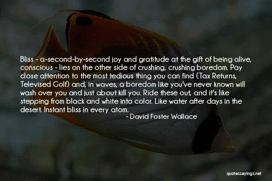 Every Color Quotes By David Foster Wallace