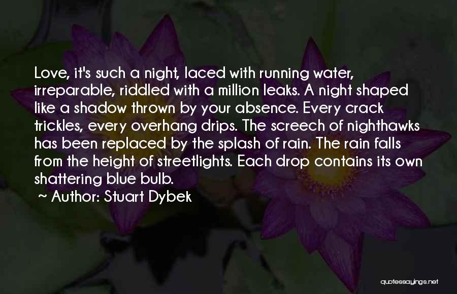 Every Drop Of Rain Quotes By Stuart Dybek