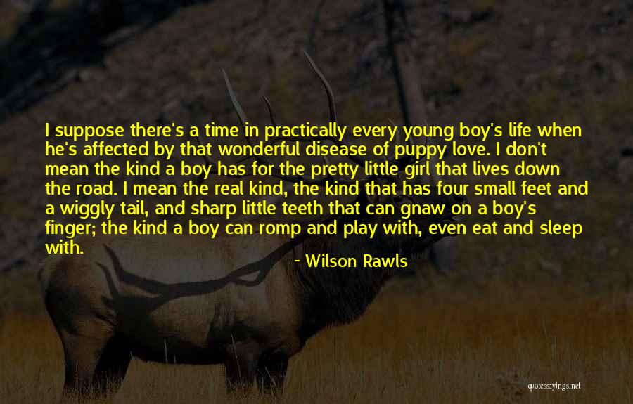 Every Little Girl Quotes By Wilson Rawls