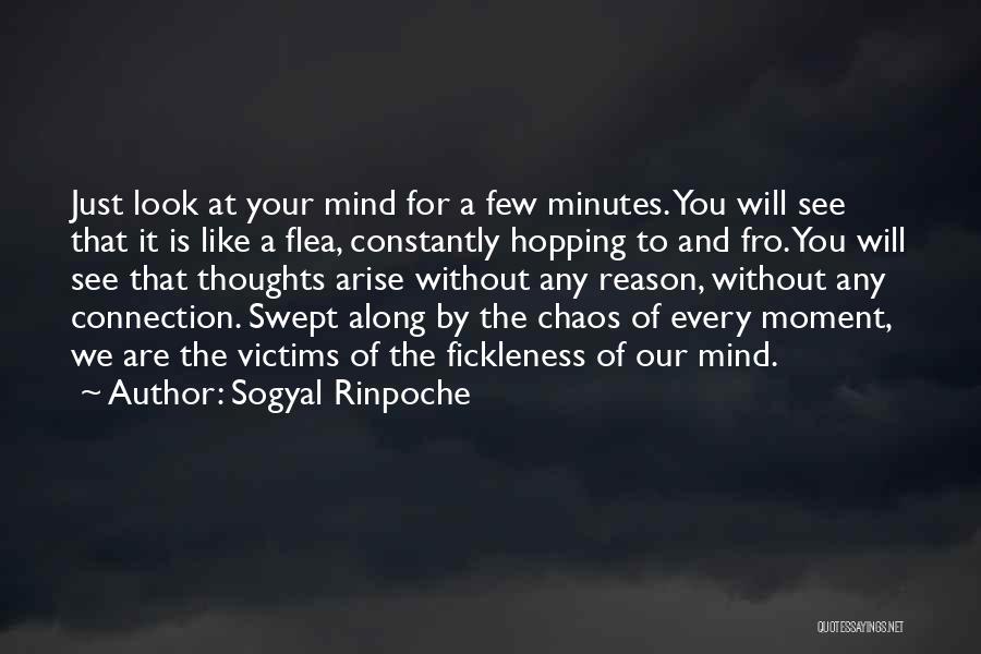 Every Moment Without You Quotes By Sogyal Rinpoche