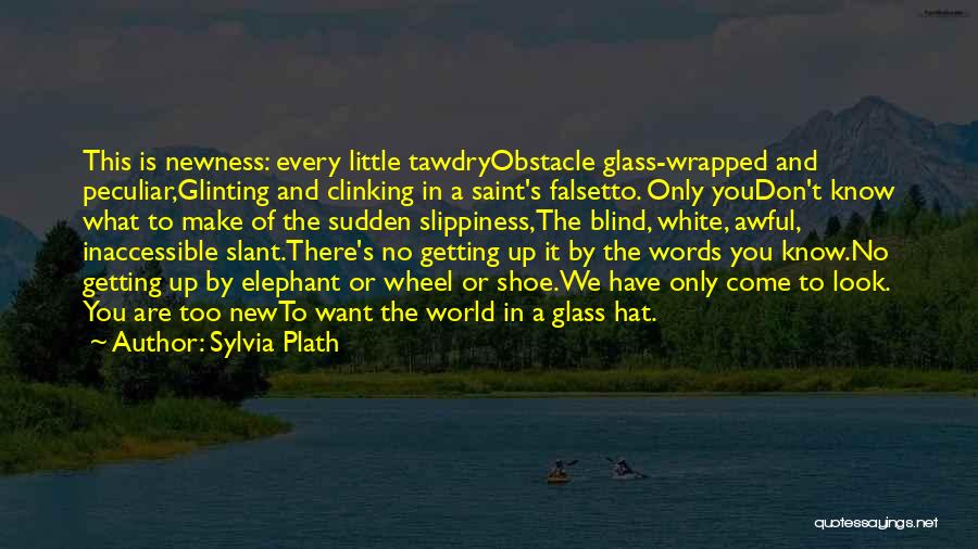 Every Obstacle Quotes By Sylvia Plath