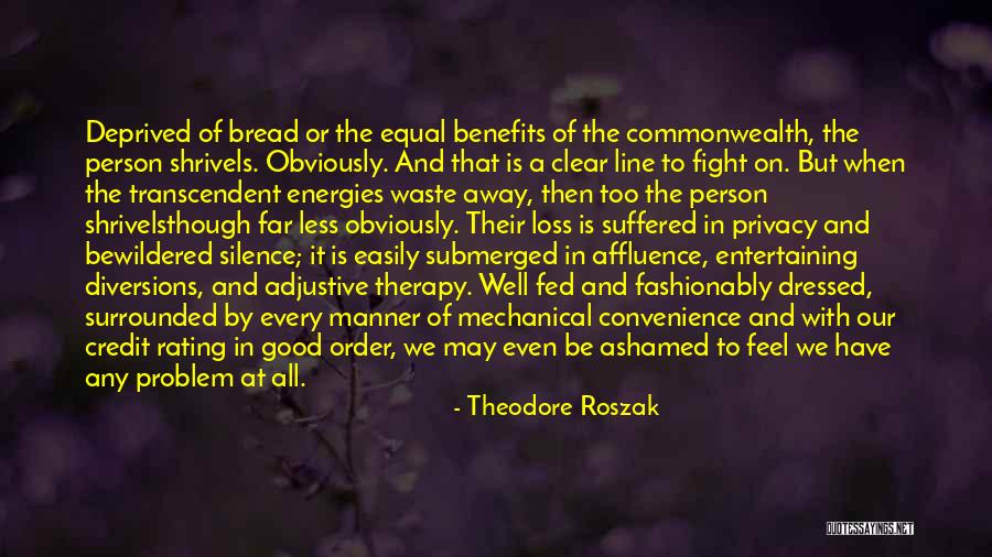 Every Person Is Equal Quotes By Theodore Roszak