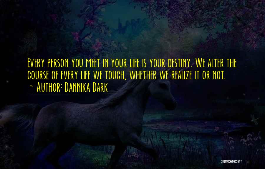 Every Person You Meet Quotes By Dannika Dark