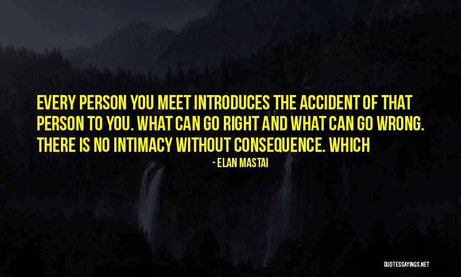 Every Person You Meet Quotes By Elan Mastai