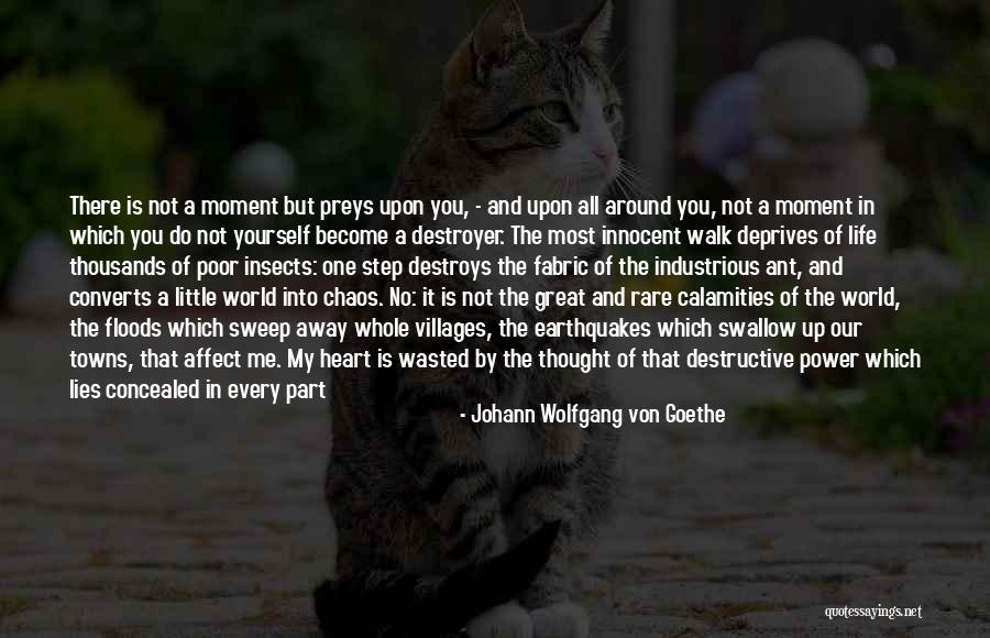 Every Step Of The Way Quotes By Johann Wolfgang Von Goethe Every Step Of The Way Quotes By Johann Wolfgang Von Goethe