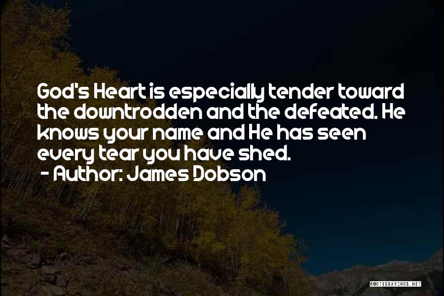 Every Tear Quotes By James Dobson