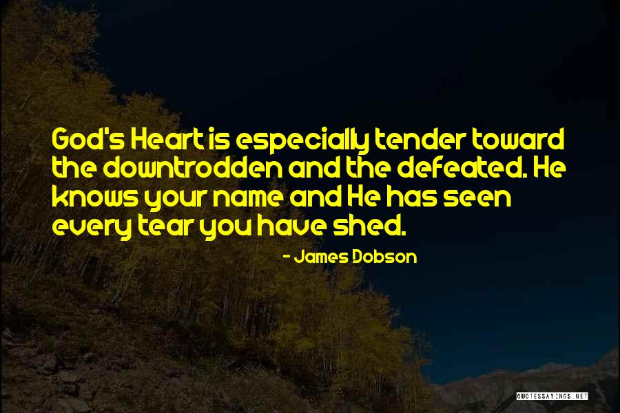 Every Tear Shed Quotes By James Dobson