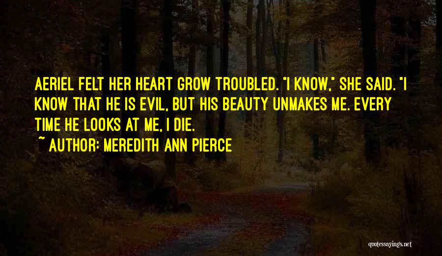 Every Time I Die Quotes By Meredith Ann Pierce