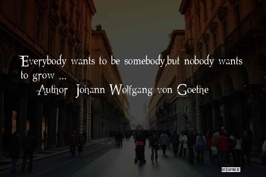 Everybody Wants To Be Somebody Quotes By Johann Wolfgang Von Goethe
