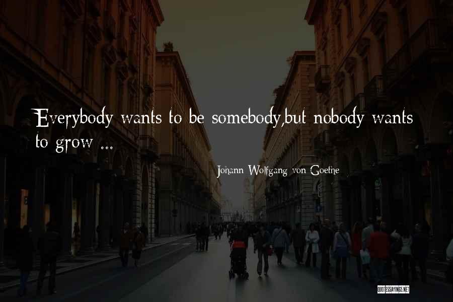 Everybody Wants To Be Somebody Quotes By Johann Wolfgang Von Goethe