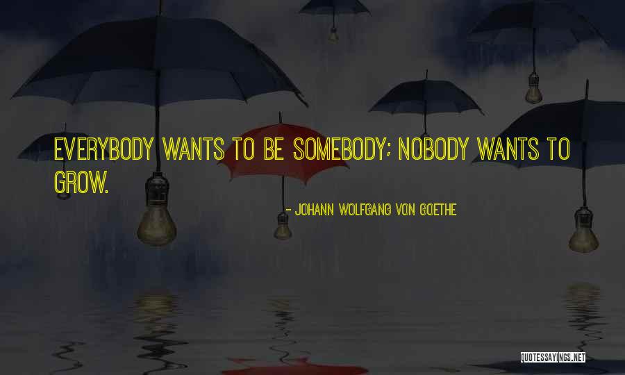 Everybody Wants To Be Somebody Quotes By Johann Wolfgang Von Goethe