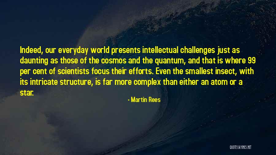 Everyday Challenges Quotes By Martin Rees Everyday Challenges Quotes By Martin Rees
