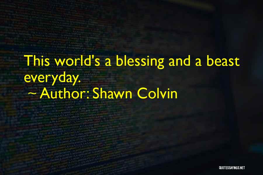 Everyday Is A Blessing Quotes By Shawn Colvin