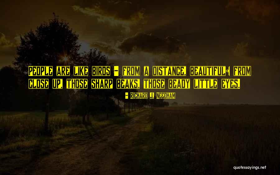Everyday Is A Brand New Day Quotes By Richard J. Needham Everyday Is A Brand New Day Quotes By Richard J. Needham
