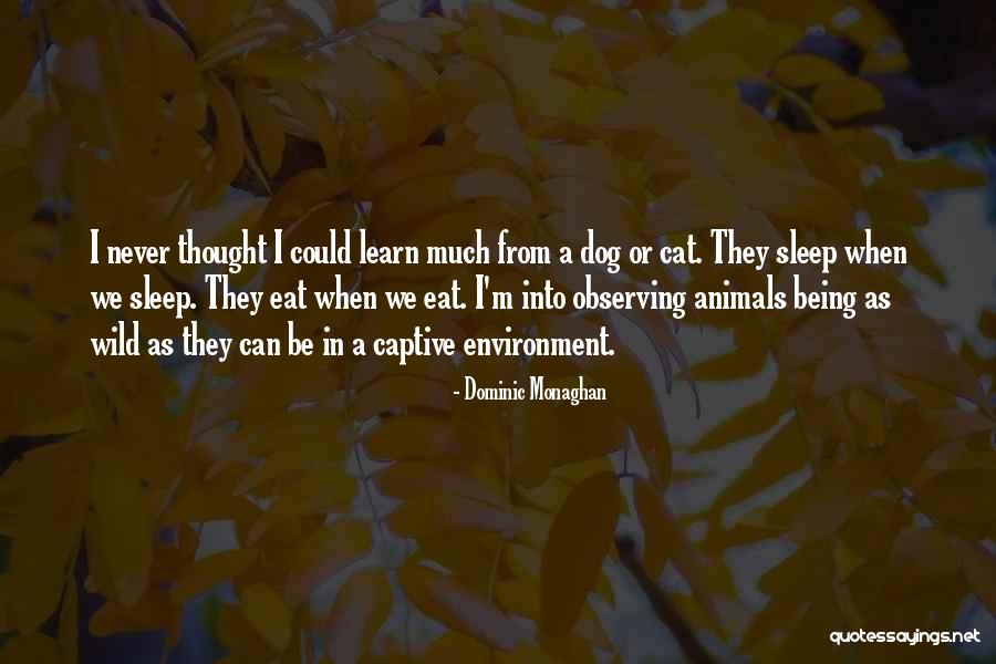 Everyday Is A Gift Quotes By Dominic Monaghan Everyday Is A Gift Quotes By Dominic Monaghan