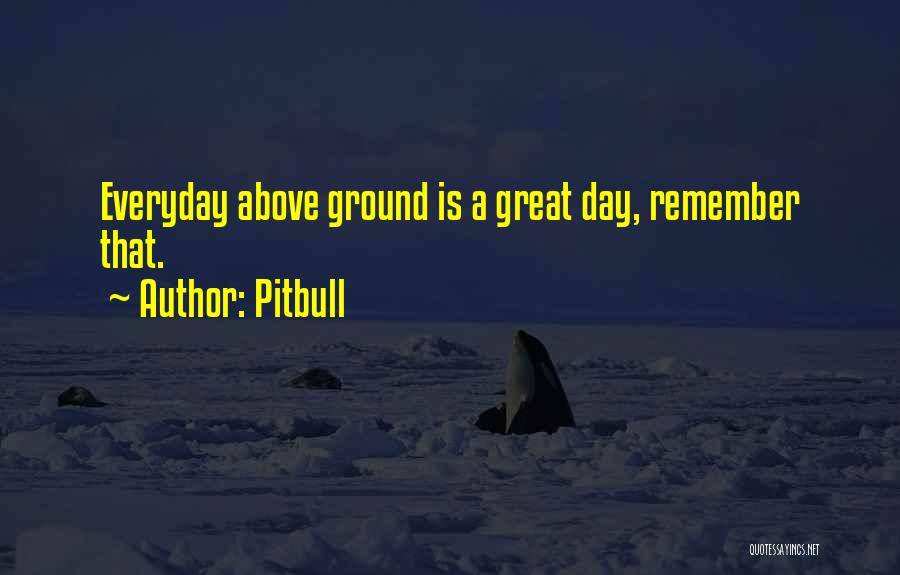 Everyday Is A Great Day Quotes By Pitbull