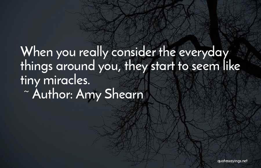 Everyday Miracles Quotes By Amy Shearn