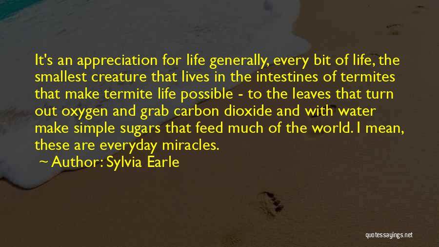 Everyday Miracles Quotes By Sylvia Earle