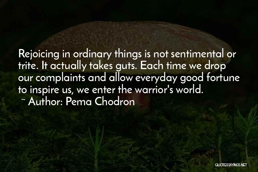 Everyday Things Quotes By Pema Chodron