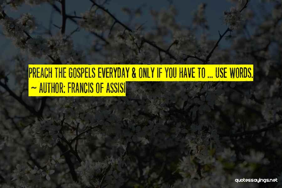 Everyday Use Quotes By Francis Of Assisi