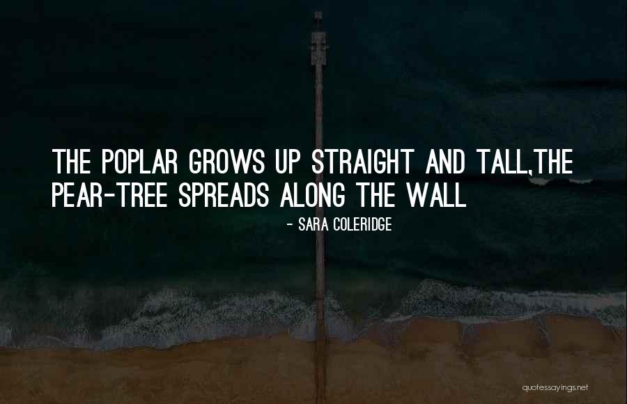Everygirl Blog Quotes By Sara Coleridge Everygirl Blog Quotes By Sara Coleridge