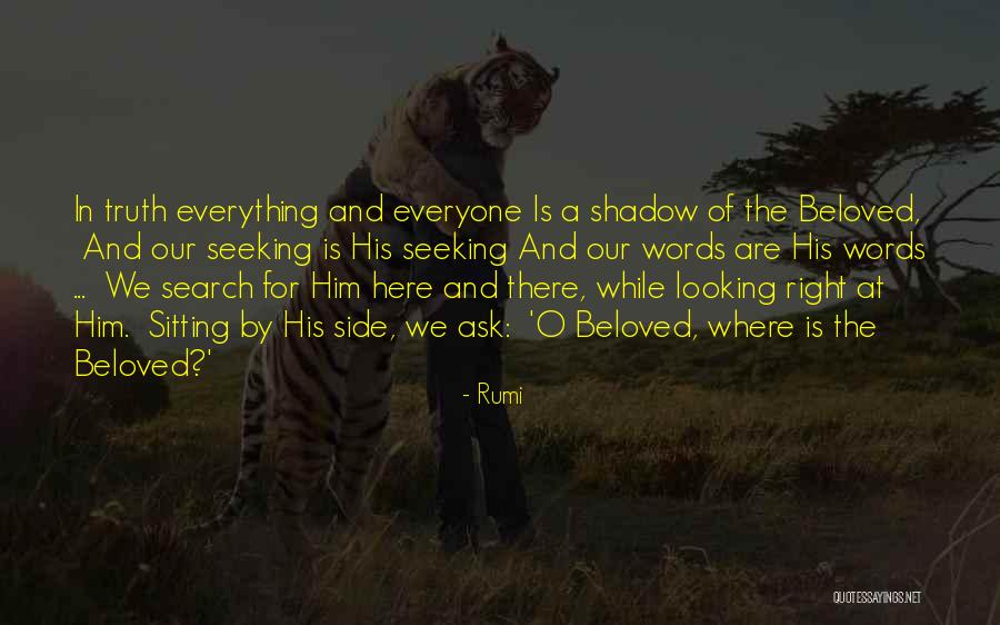 Everyone Has The Right To Love Quotes By Rumi