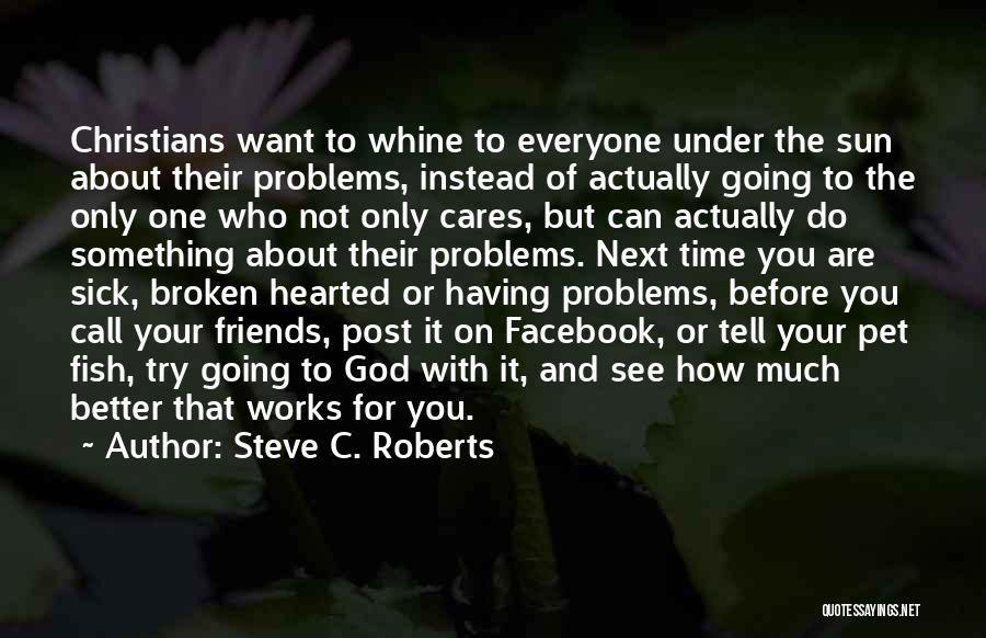 Everyone Having Problems Quotes By Steve C. Roberts