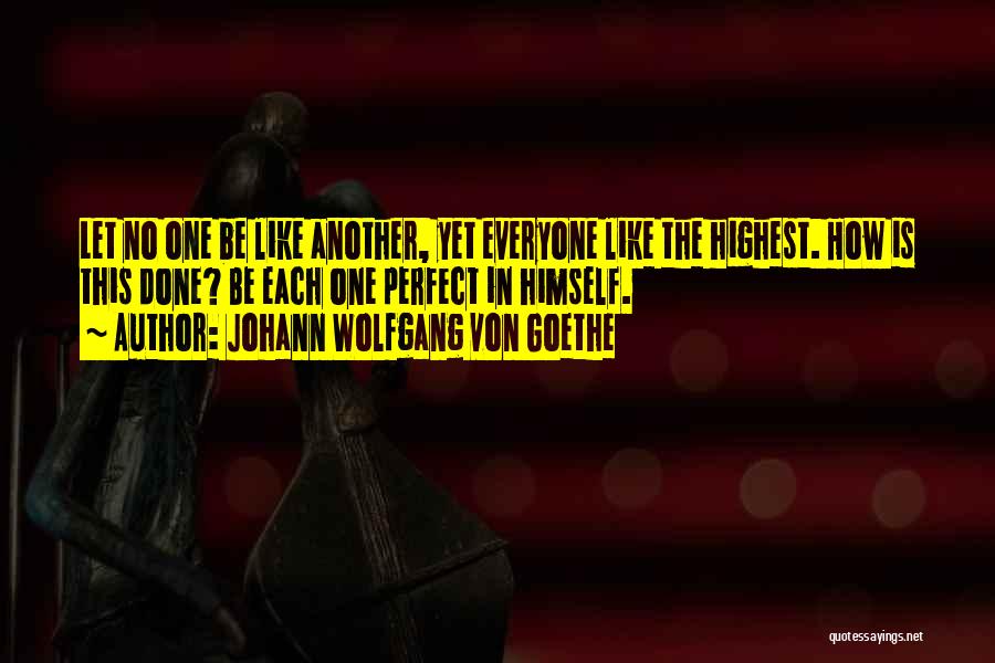 Everyone Is Perfect Quotes By Johann Wolfgang Von Goethe