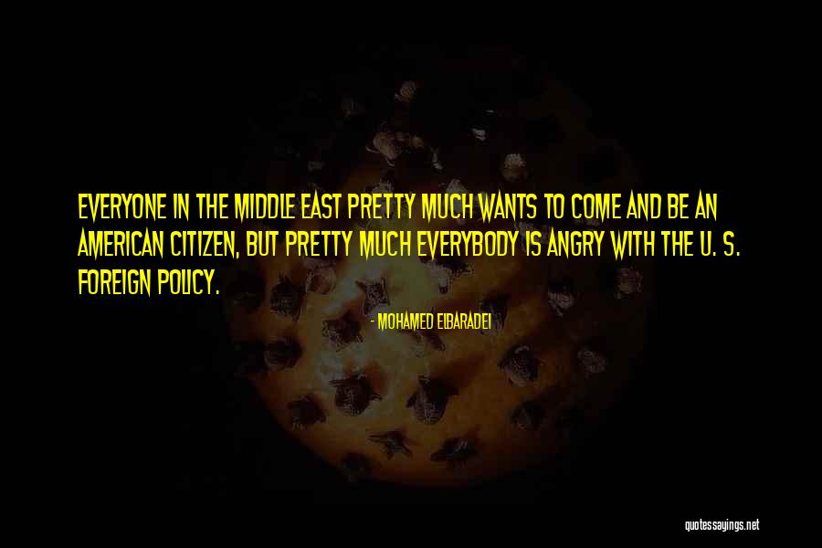 Everyone Is Pretty Quotes By Mohamed ElBaradei