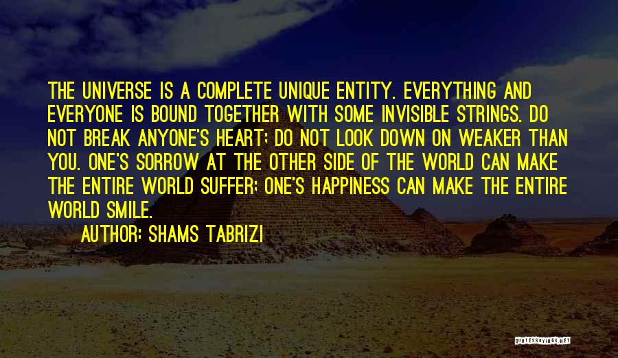 Everyone Is Unique Quotes By Shams Tabrizi