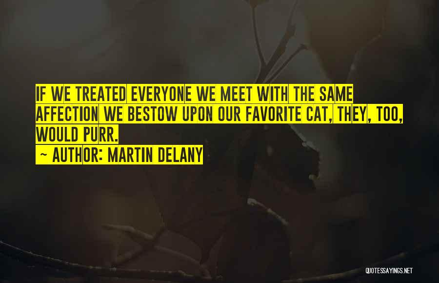 Everyone We Meet Quotes By Martin Delany