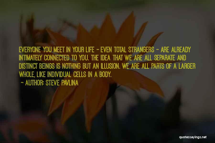 Everyone We Meet Quotes By Steve Pavlina