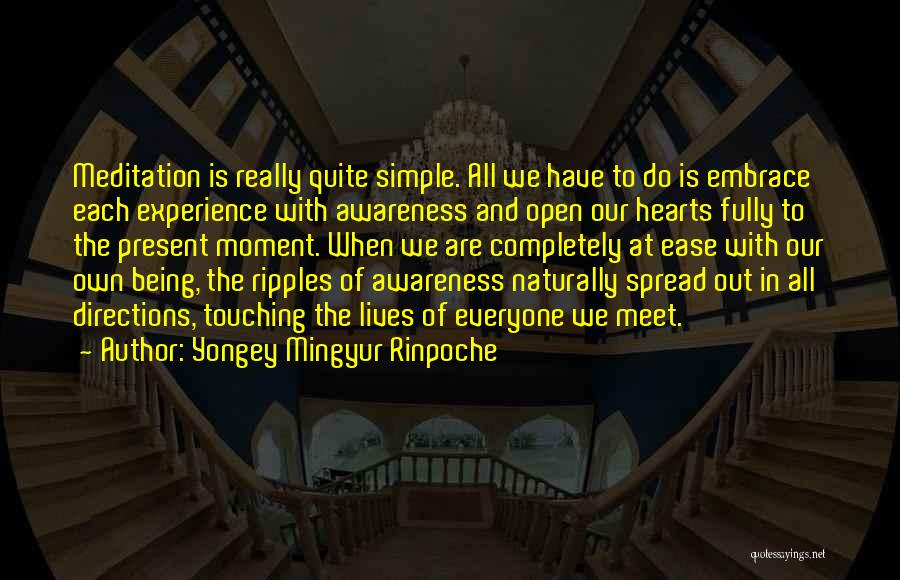 Everyone We Meet Quotes By Yongey Mingyur Rinpoche