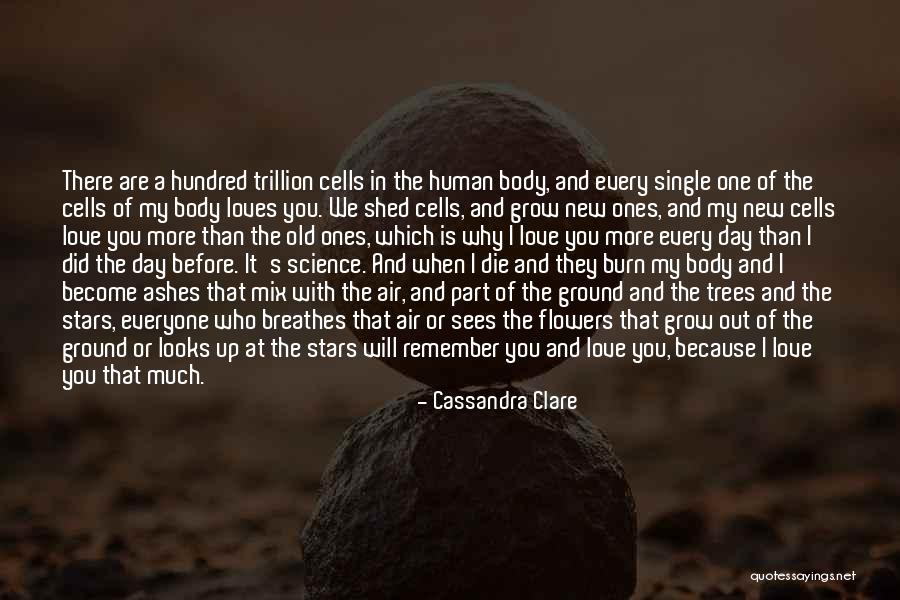 Everyone Will Die One Day Quotes By Cassandra Clare