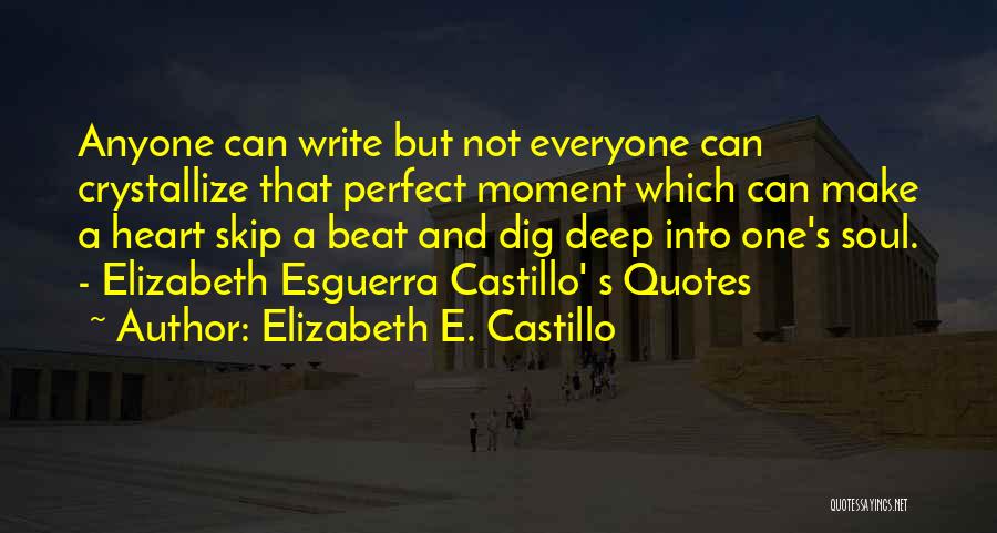 Everyone's Not Perfect Quotes By Elizabeth E. Castillo