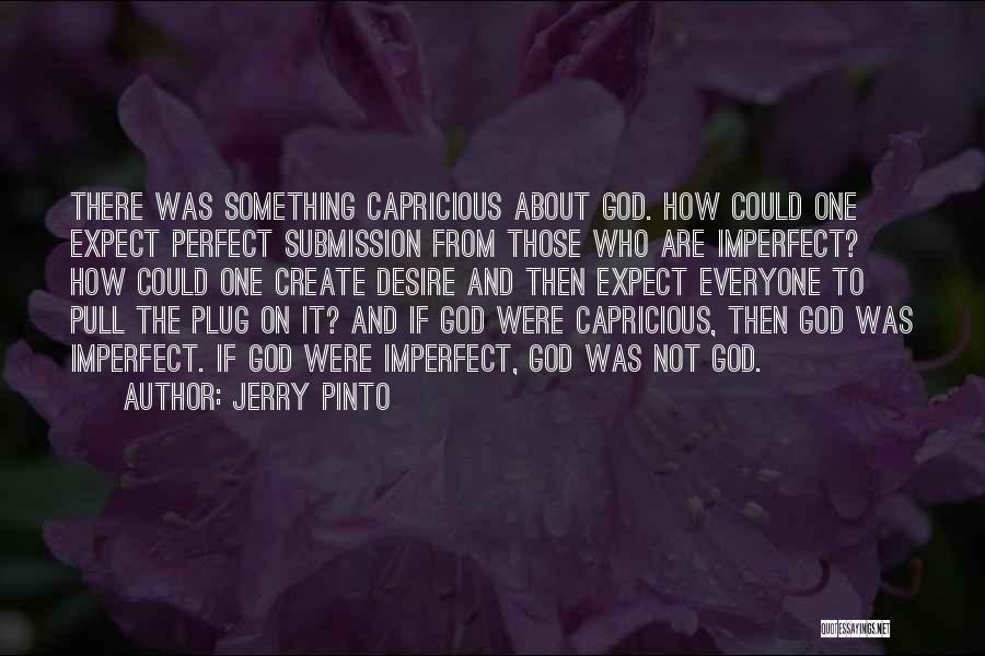 Everyone's Not Perfect Quotes By Jerry Pinto