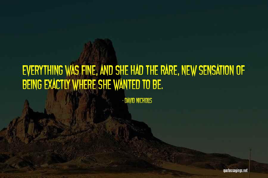 Everything Being Fine Quotes By David Nicholls Everything Being Fine Quotes By David Nicholls