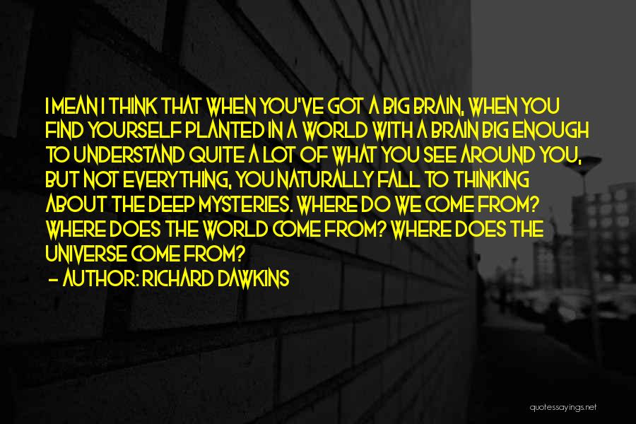 Everything But The Brain Quotes By Richard Dawkins