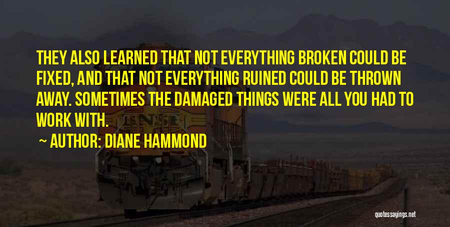 Everything Can Be Fixed Quotes By Diane Hammond
