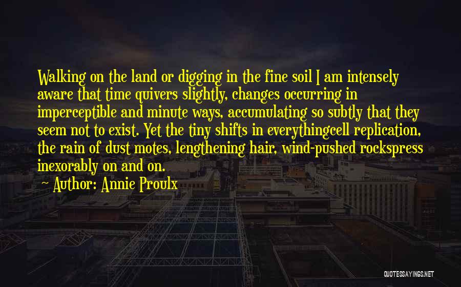 Everything Changes Over Time Quotes By Annie Proulx