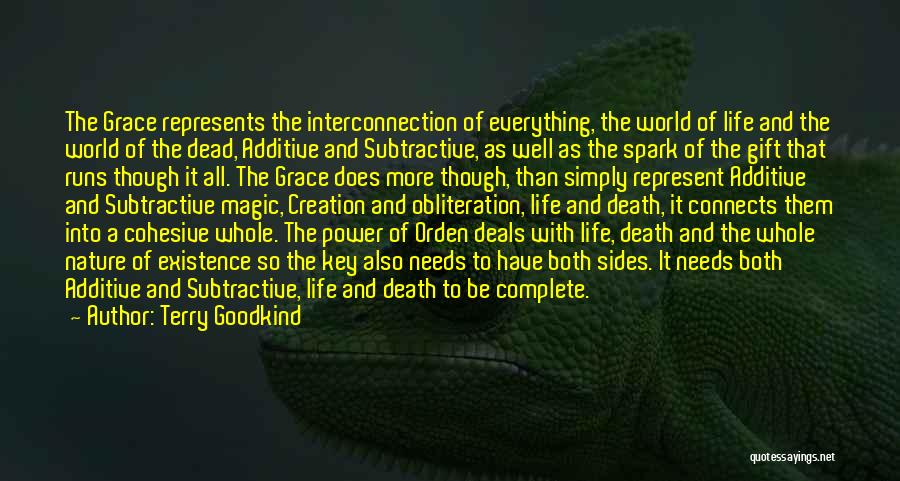 Everything Connects Quotes By Terry Goodkind