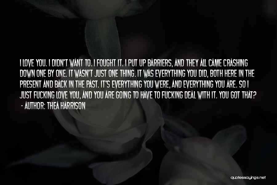 Everything Crashing Down Quotes By Thea Harrison