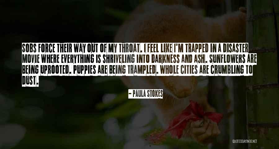 Everything Crumbling Quotes By Paula Stokes