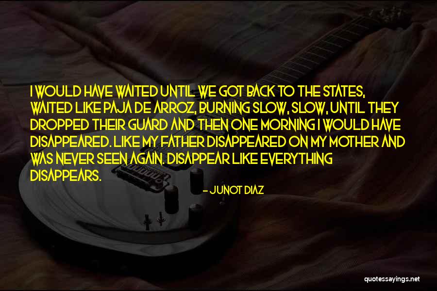 Everything Disappears Quotes By Junot Diaz Everything Disappears Quotes By Junot Diaz