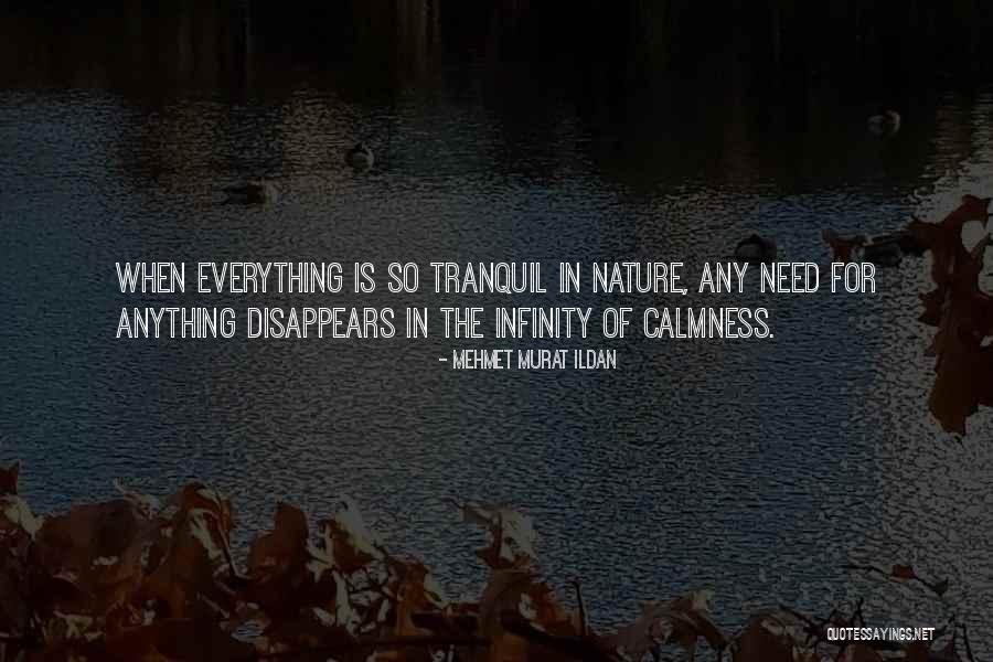 Everything Disappears Quotes By Mehmet Murat Ildan