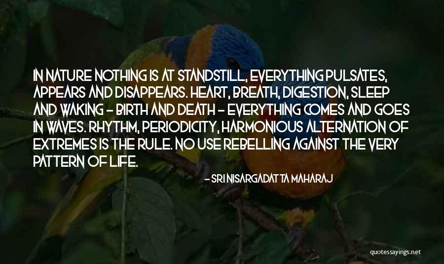 Everything Disappears Quotes By Sri Nisargadatta Maharaj