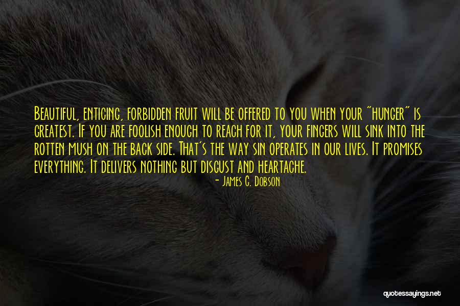 Everything Forbidden Quotes By James C. Dobson Everything Forbidden Quotes By James C. Dobson