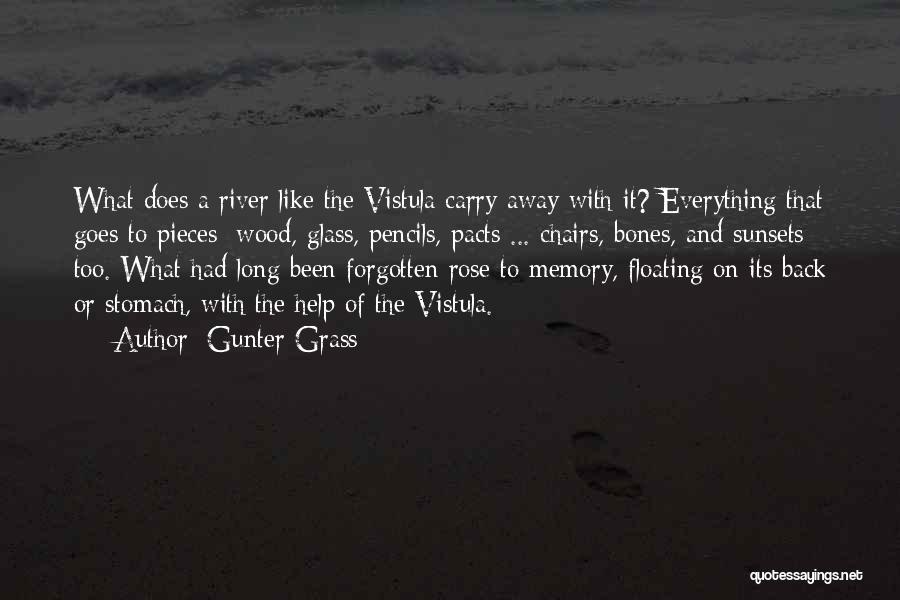 Everything Goes Away Quotes By Gunter Grass